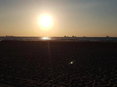 Spat Ashdod - 19