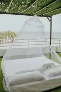 Polamar - 66
