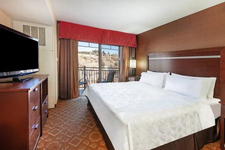 Holiday Inn & Suites Downtown, an IHG - 4