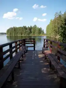 Сандал - 20
