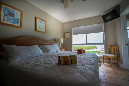 Shore View - 31