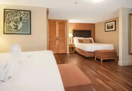 Coast Hillcrest - 64