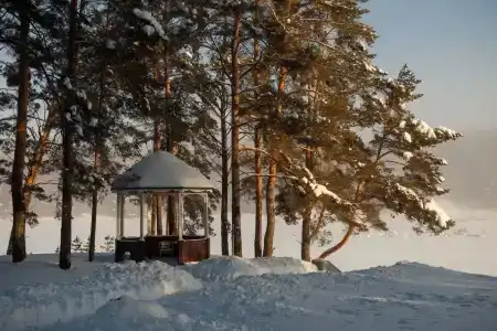 Карагай - 8