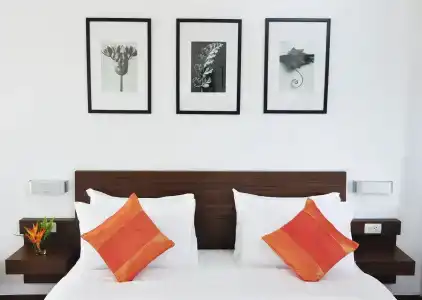 Family House Zen Boutique - 5