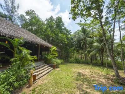 Mango Bay Resort - 200
