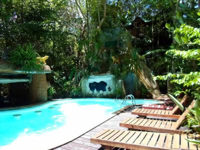 Khao sok tree house resort - 12