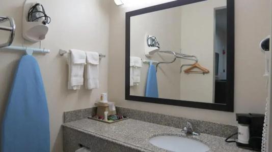 Super 8 by Wyndham Houston North I-45 - 73