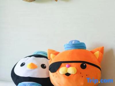 1 Haitang Bay, Sanya - 113