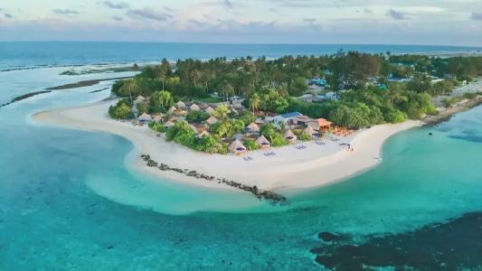 The Maverick Surf and Dive Boutique - 0