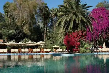 Es Saadi Marrakech Resort - - 12