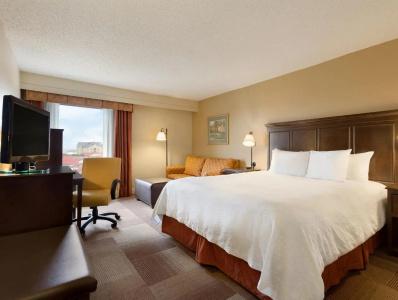 Hampton Inn Dallas-Irving-Las Colinas - 37