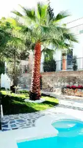 Boutique X Pueblo, Benalmádena - 20