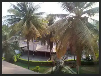 Royal Orchid Resort & Convention Centre, Yelahanka Bangalore - 16