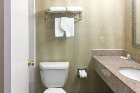 Quality Inn & Suites Oceanside Near Camp Pendleton - 43