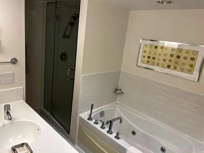 Crowne Plaza - Chicago West Loop, An Ihg - 75