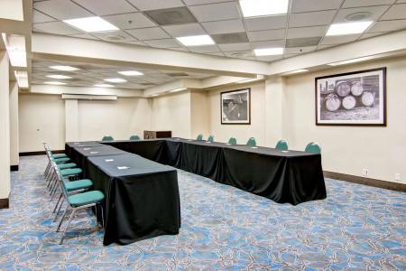 Hampton Inn & Suites by Hilton-Airport - 18