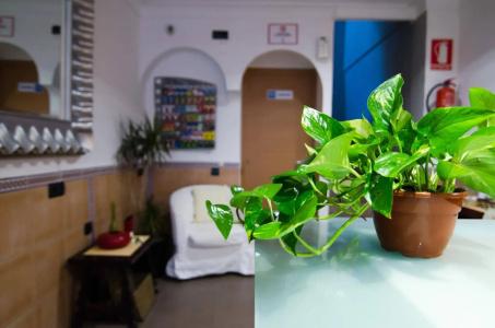 Hostel Malaga Inn - 9