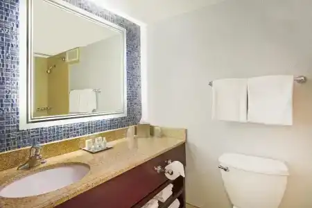 Wyndham Garden Lake Buena Vista Disney Springs® Resort Area - 57