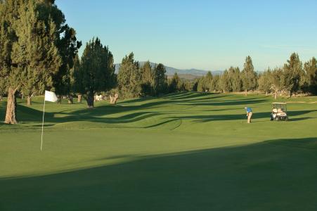 WorldMark Eagle Crest - 31