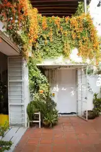 Casa Canario - 48