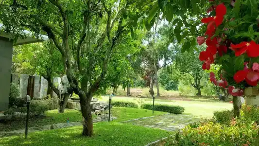 Baan Suan Him Doi - 14