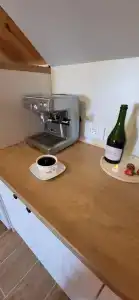 морской сад - 17