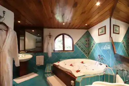 Chauve Souris Relais - 7