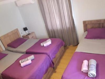 Tskaltubo Guest House On Mirian Mepe - 2