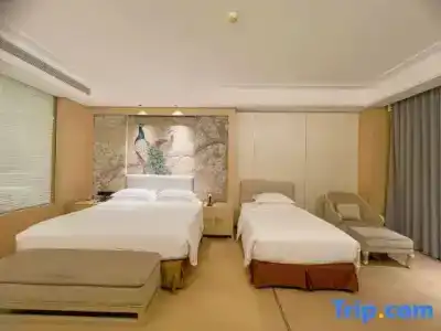 Jinke Grand - 7