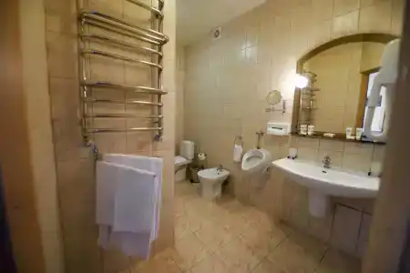 Золото Карпат - 41