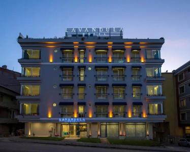 Levent Lavandula - 0
