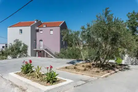 Lavanda - 35
