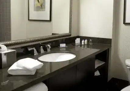 DoubleTree by Hilton Charlotte Airport - 8