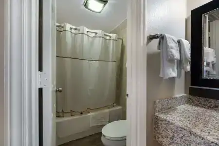 Rodeway Inn - 8
