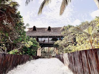 Libelula Tulum - 15
