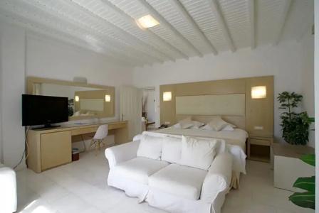 Dionysos Luxury Mykonos - 110