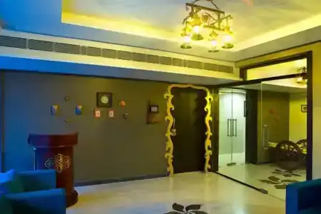 Pipal Tree - 13