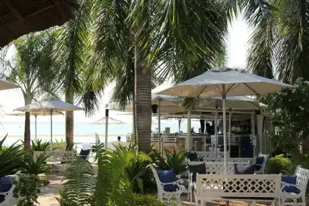 Coral Beach - 33
