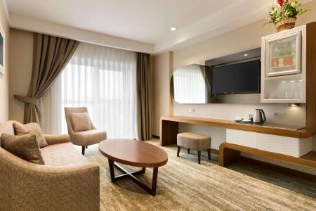 Ramada by Wyndham Gemli̇k - 6