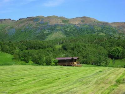 Ásólfsstaðir - 24