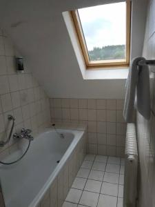 Waldblick - 36