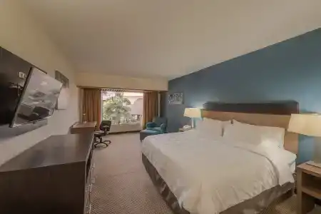 Holiday Inn Guadalajara Expo Plaza Del Sol, An Ihg - 79
