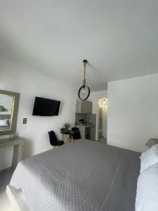 Zoumis Studios - 165