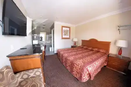 The Palace Inn - 10