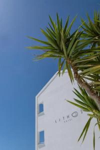 Lithos - 37