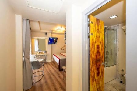 Ramada by Wyndham Istanbul Pera - 110