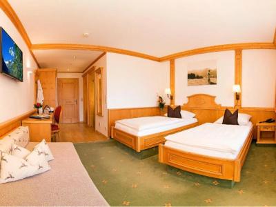 AlpenTirolerhof - 40