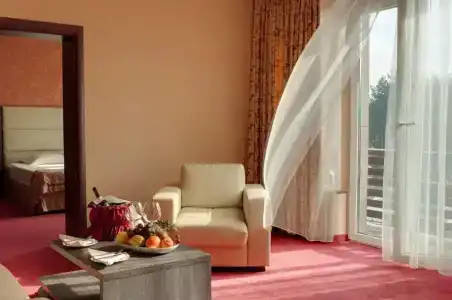Spa Dvoretsa - 31