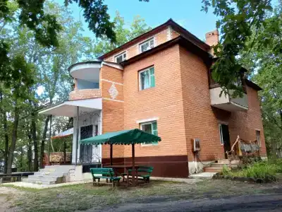 Дубки у Валентины - 15