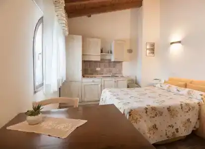 Rosa di Assisi - 120